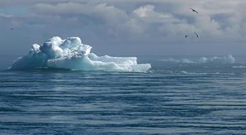 ‘Triple whammy of climate chaos’: Why Antarctica's sea ice collapse is no longer a mystery