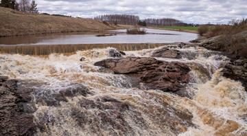 Record number of dams dismantled in Europe in effort to help wildlife thrive