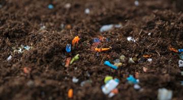 More microplastics found in rural woodland than city centre - experts warn of potential health risks