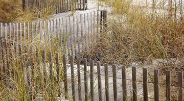 Global sand demand is outpacing supply and threatening ecosystems, UN says
