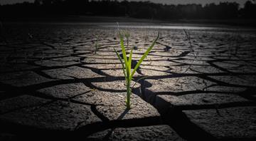 Declare climate crisis a global public health emergency, experts tell WHO