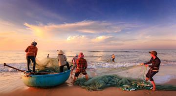 WWF's free guide to sustainable seafood now delves into a growing climate threat: invasive species